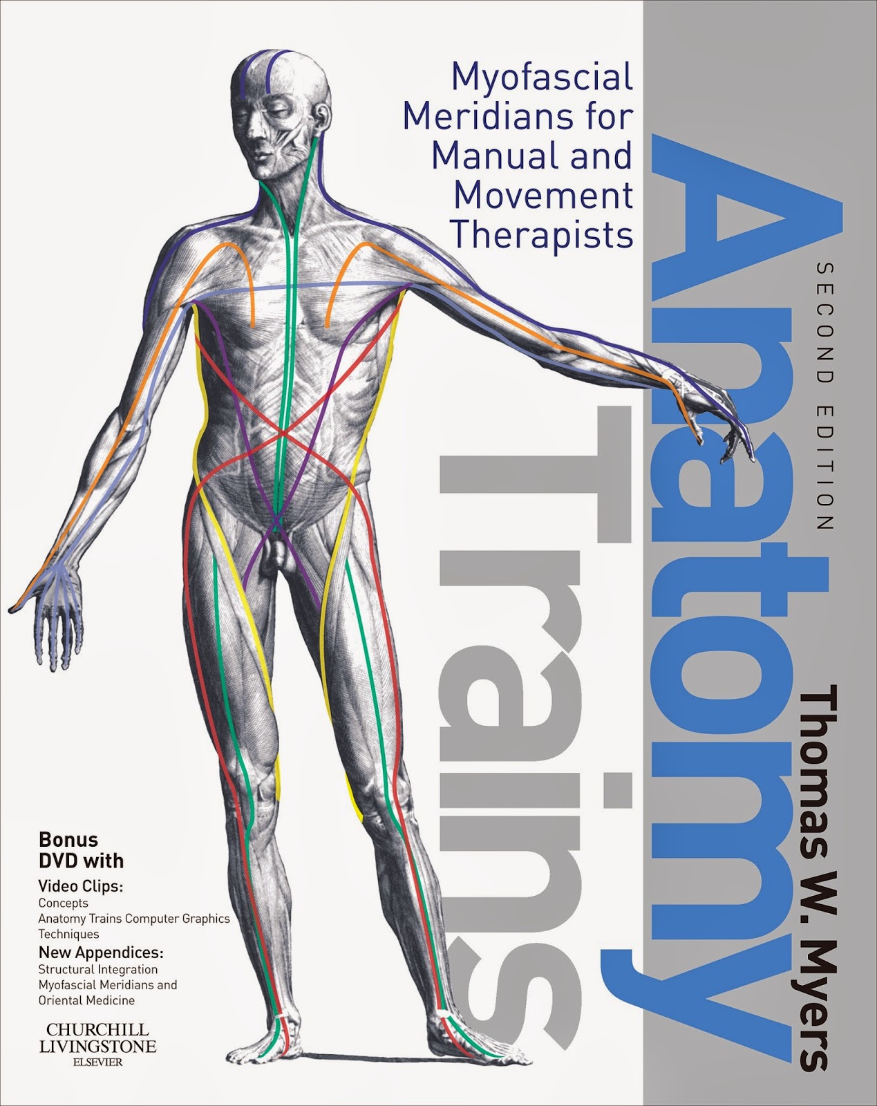 Kinesiology 4U: maart 2014